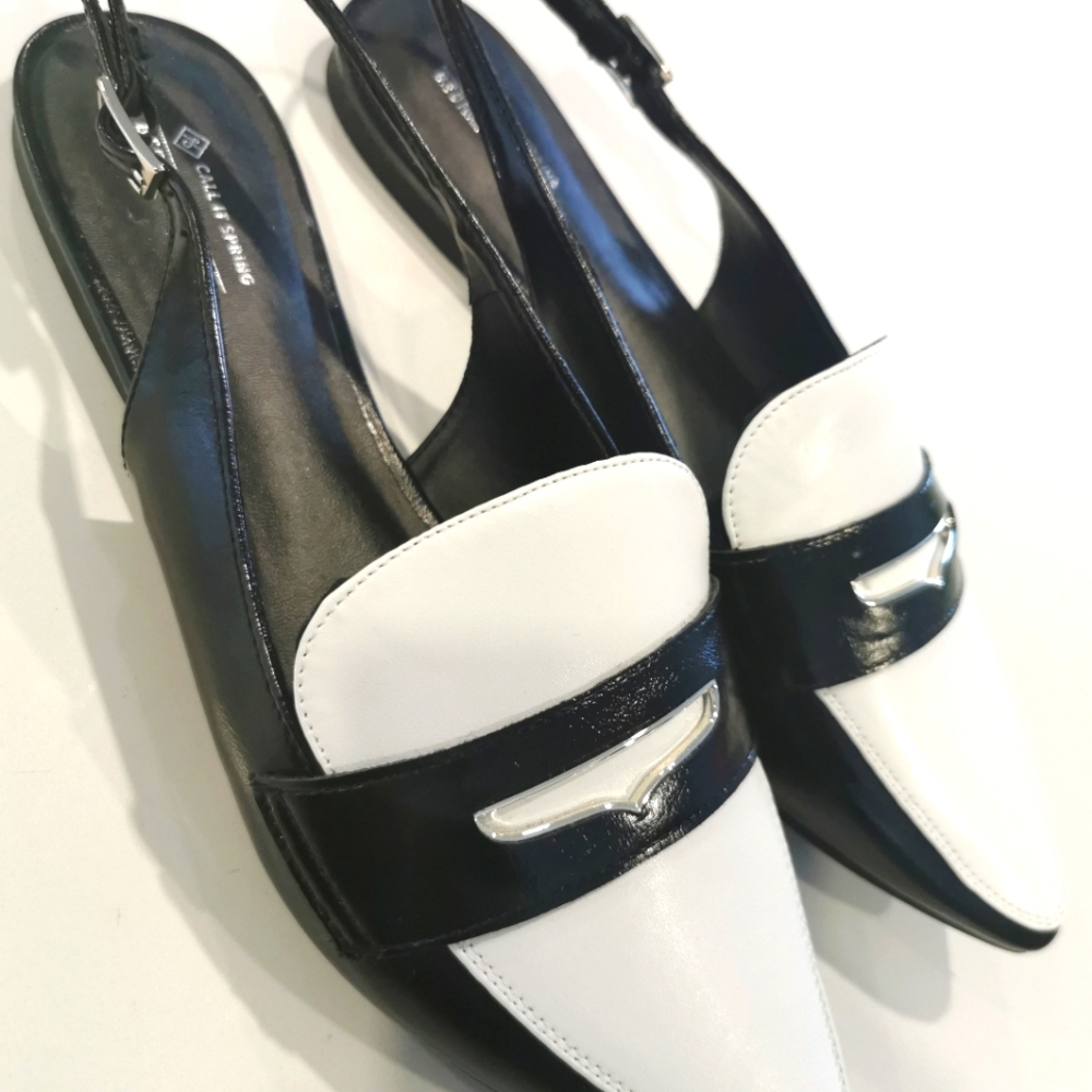 Pointed Toe Slingback Flats